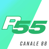 LogoRete55